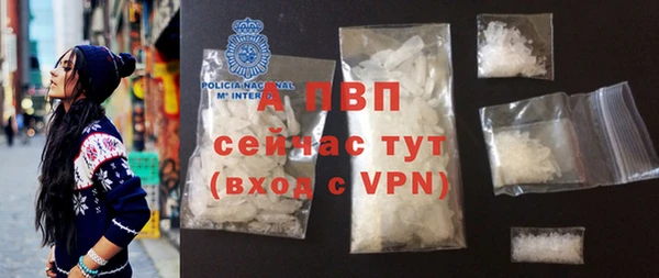 стаф Абинск