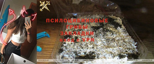 стаф Абинск